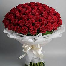 Букет 101 Красная роза Блэк Мэджик в Михалево