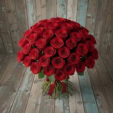 Букет 55 Красных роз Фридом #REPLACE_PRED# Михалево