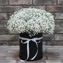 Цветочная композиция из Гипсофила в шляпной коробке в Михалево